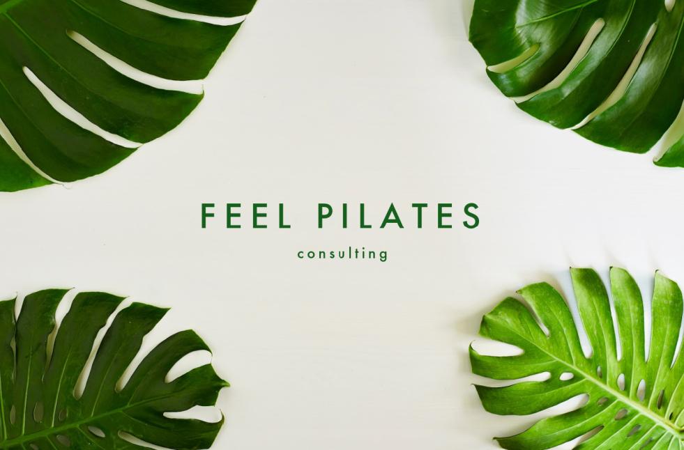 pilates consulting pilates business